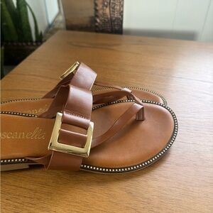 Brown Sandals with Gold Buckle